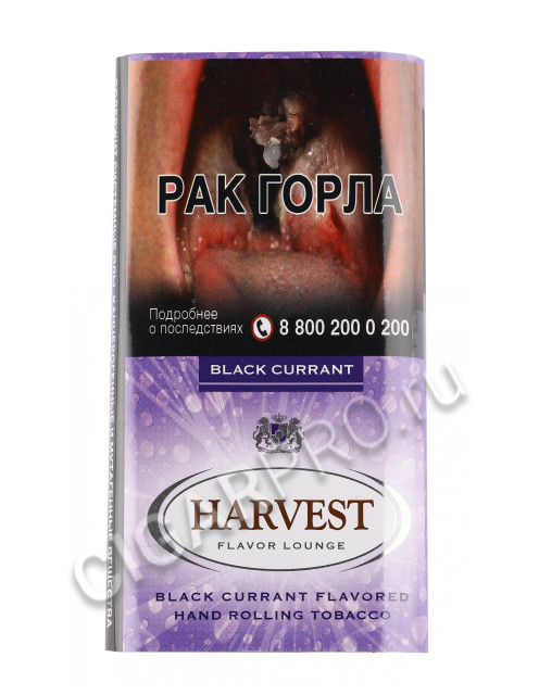 сигаретный табак harvest black currant купить