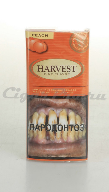 harvest peach