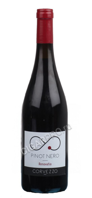 corvezzo pinot nero delle venezie igt 2012 итальянское вино корвеццо пино неро игт делле венецие 2012