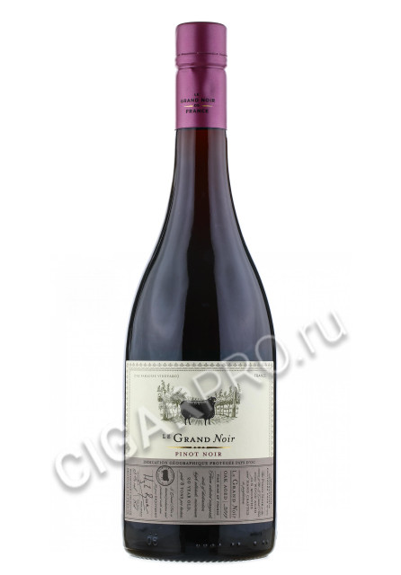 le grand noir pinot noir вино ле гран нуар пино нуар