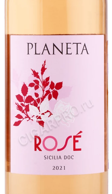 Этикетка Вино Планета Розе 0.75л