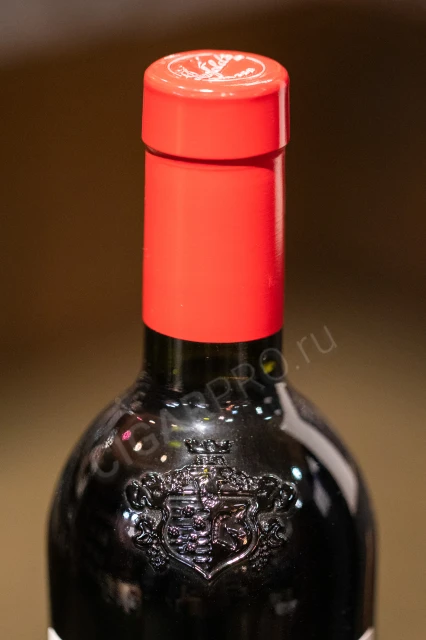 логотип на бутылке вина пенфолдс бин 389 каберне шираз 2018г 0.75л