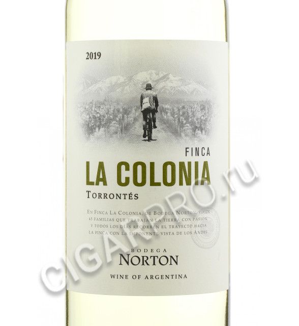 этикетка norton finca la colonia torrontes