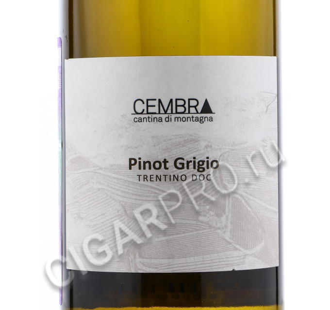 этикетка cembra cantina di montagna pinot grigio