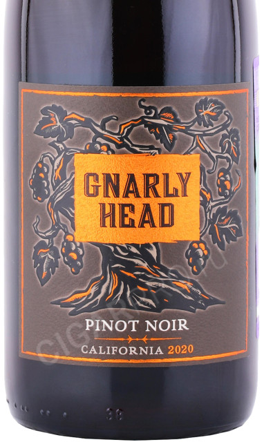 этикетка вино gnarly head pinot noir 0.75л