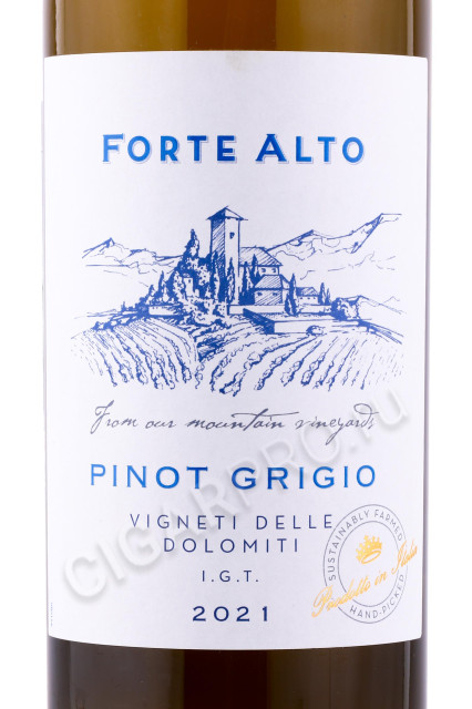 этикетка вино mezzacorona forte alto pinot grigio 0.75л