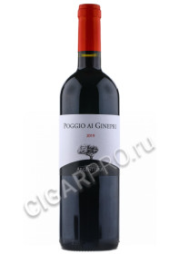 итальянское вино argentiera poggio ai ginepri купить вино арджентьера поджио ай джинепри цена