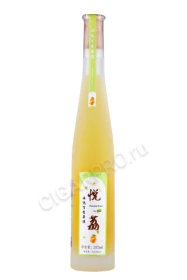 Вино Гуанчжоу Шунчанюань Маракуйя 0.375л