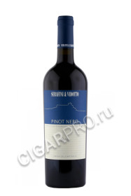serafini vidotto pinot nero купить вино серафини э видотто пино неро 0.75л цена