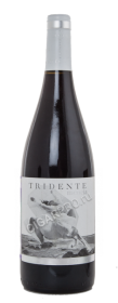 вино bodegas triton tridente mencia castilla y leon купить испанское вино триденте менсия кастилья и леон цена