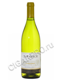 tarapaca chardonnay купить чилийское вино тарапака шардоне цена