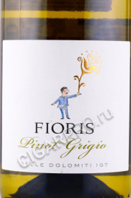 этикетка вино tramin fioris pinot grigio dolomiti 0.75л