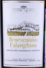 Этикетка Вино Claudio Quarta Sanpaolo Beneventano Falanghina 0.75л