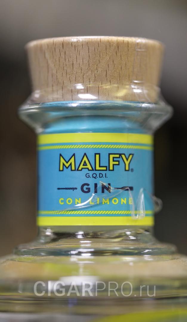 Gin Malfy